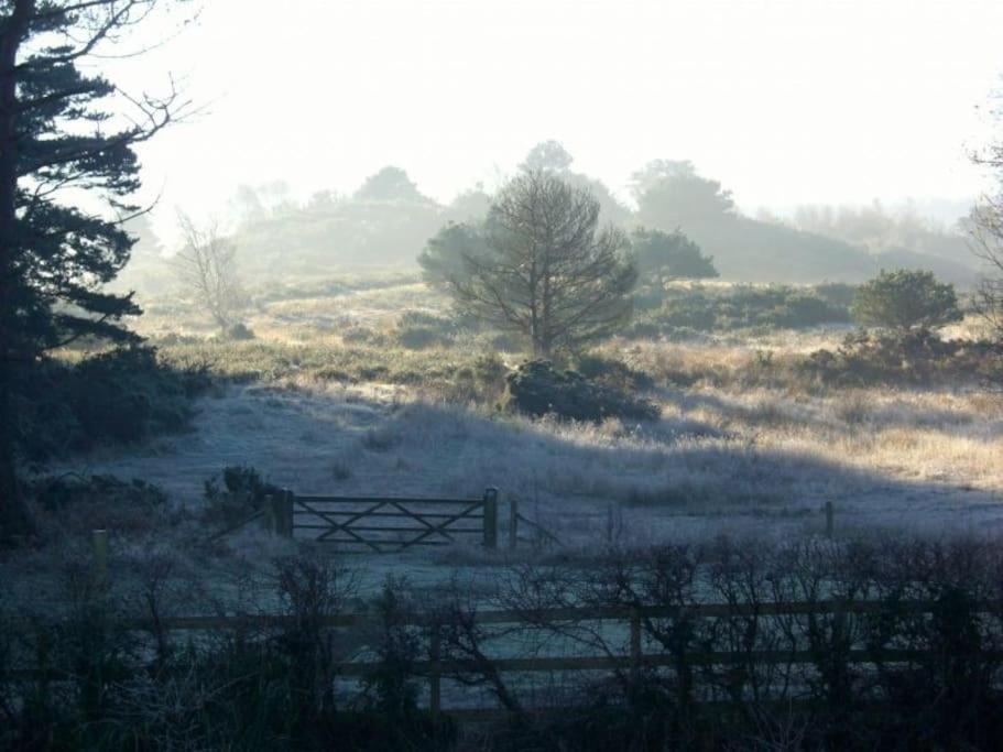Home In Dorset, Near Jurassic Coast And Arne Wareham Zewnętrze zdjęcie