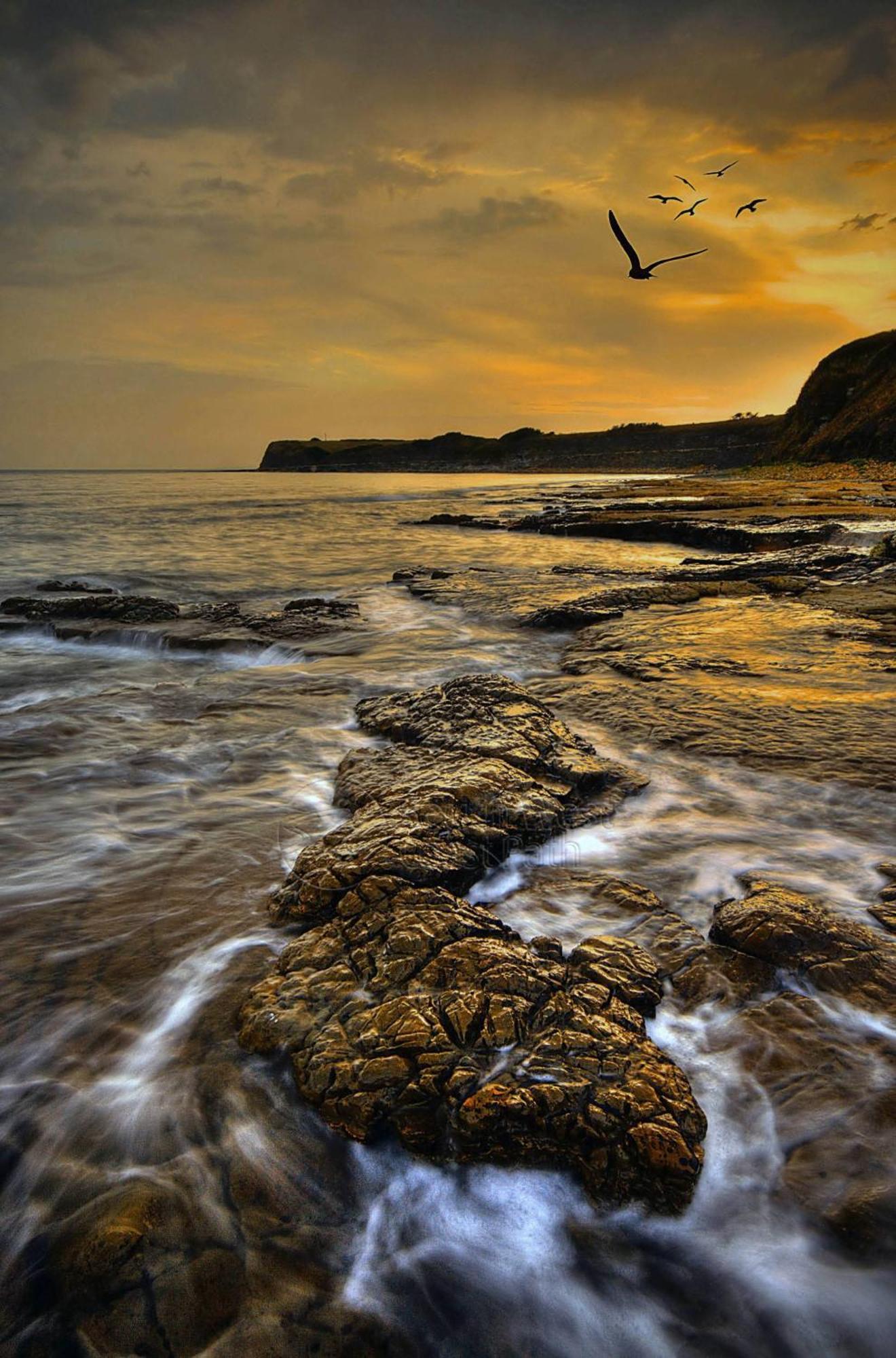 Home In Dorset, Near Jurassic Coast And Arne Wareham Zewnętrze zdjęcie