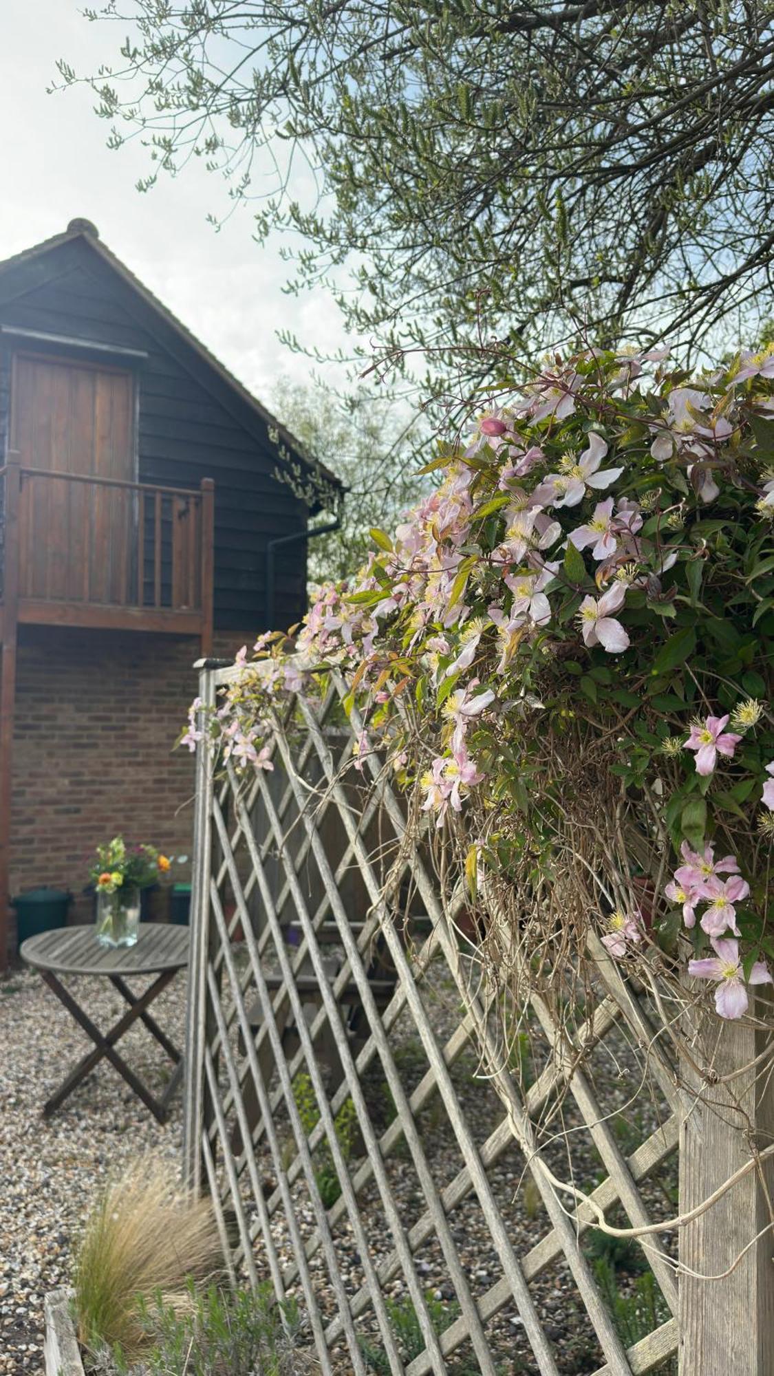 Home In Dorset, Near Jurassic Coast And Arne Wareham Zewnętrze zdjęcie